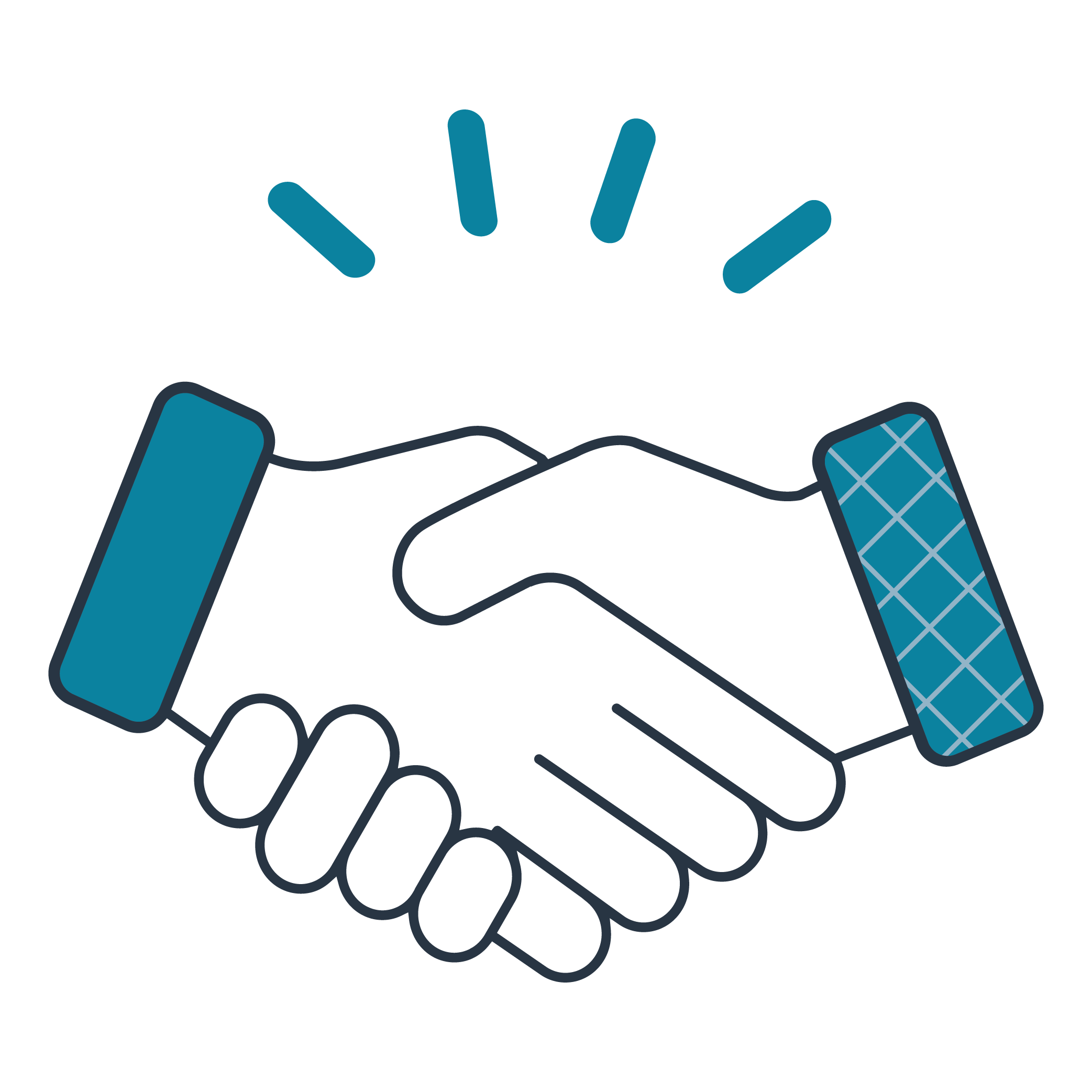 project account management service project account management service